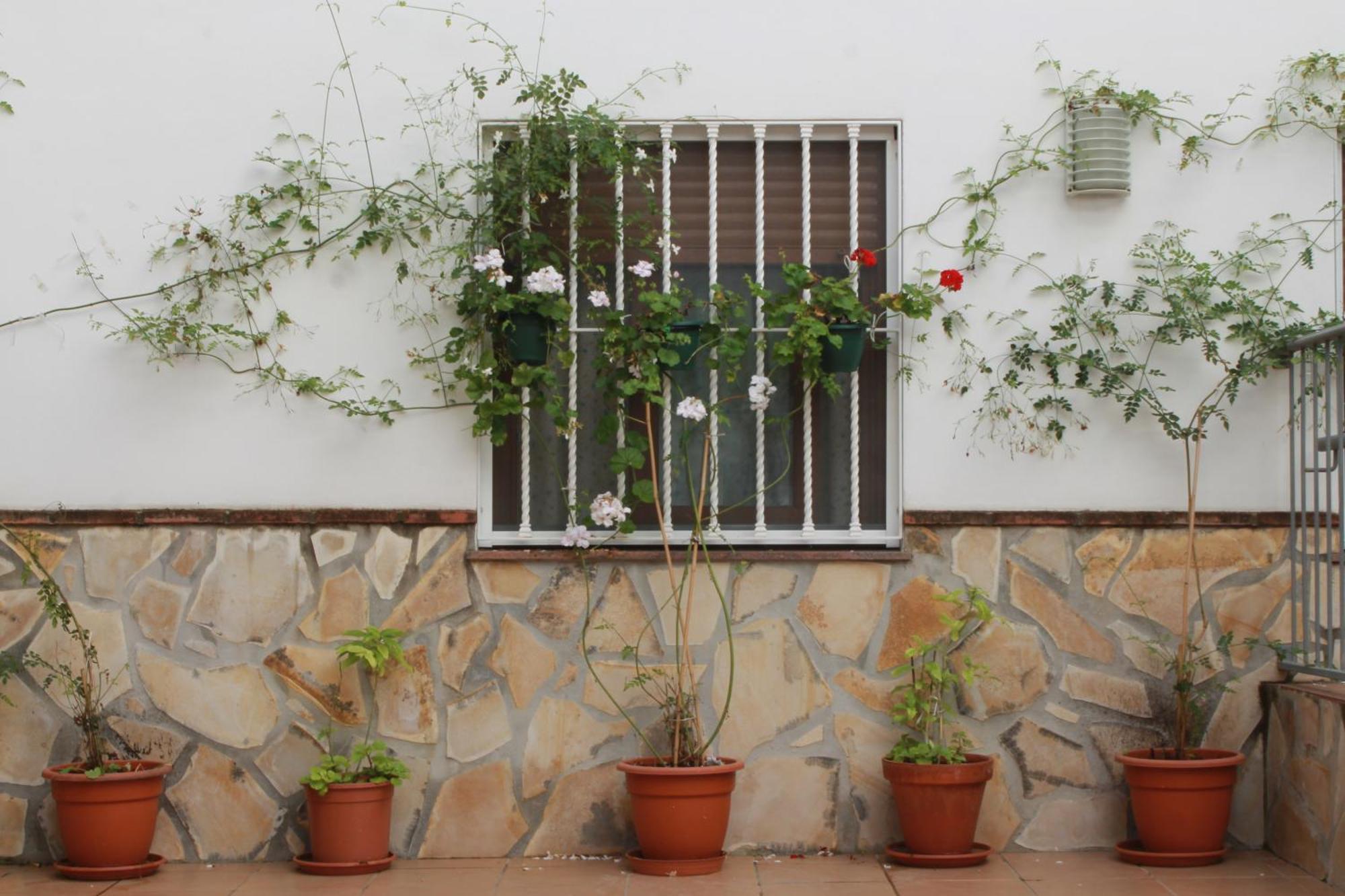 Casa Secreta Velez-Malaga Centro 아파트 외부 사진
