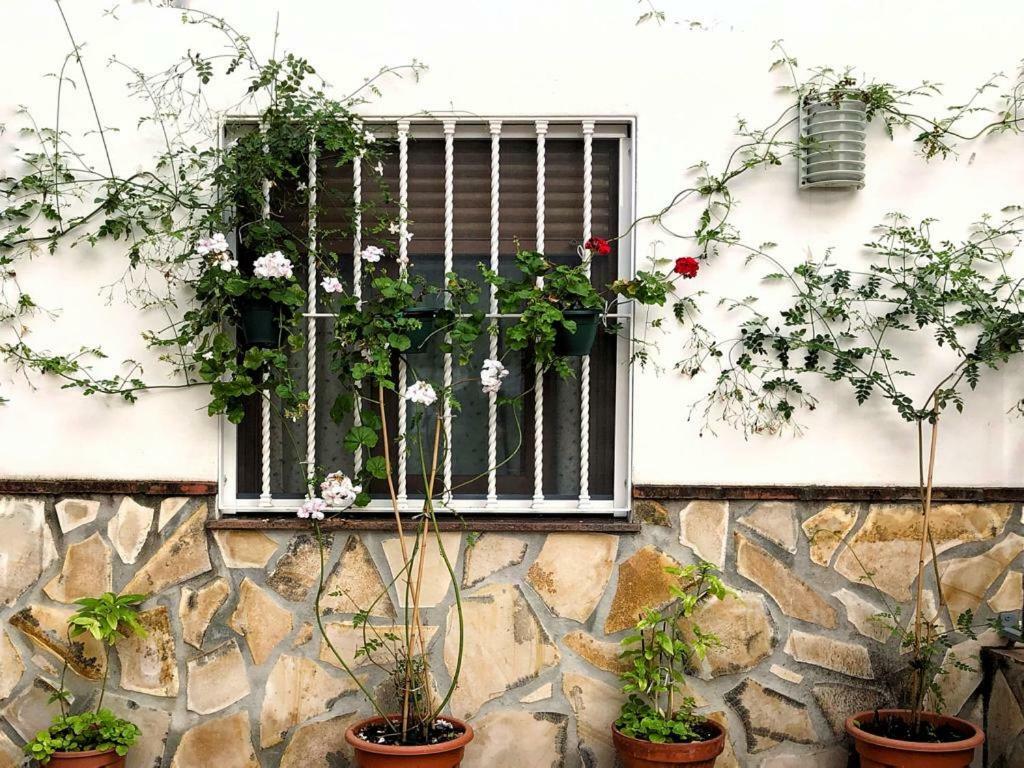 Casa Secreta Velez-Malaga Centro 아파트 외부 사진